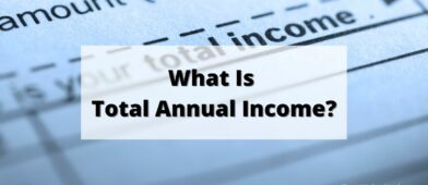 what is total annual income