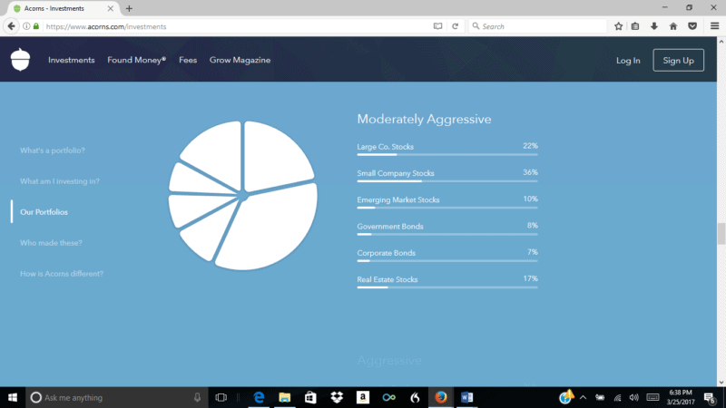 Screenshot of an Acorns portfolio allocation