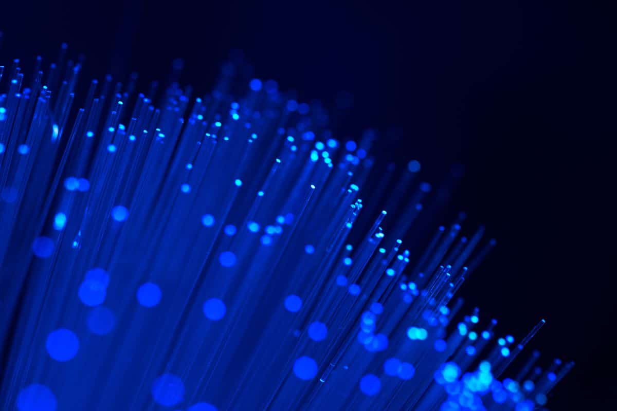  The Purchase Price of Optical Fiber Cable + Training 